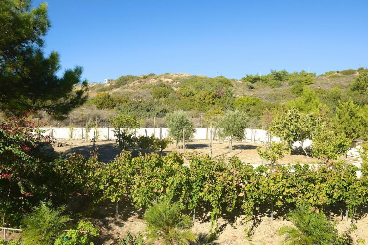 Blue Harmony Villas Kiotari Eksteriør billede